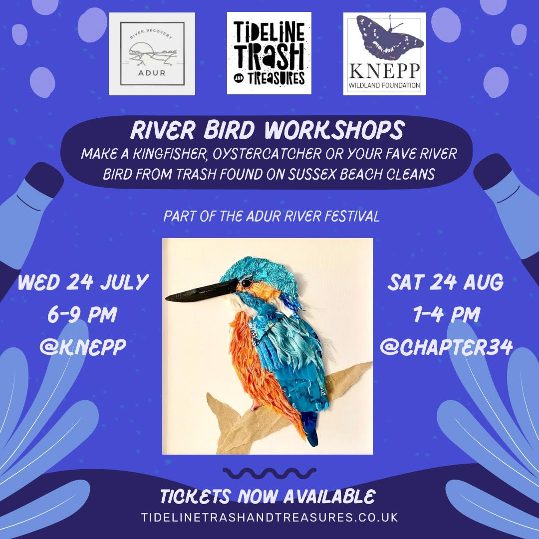 River birds workshop with Adur River Recovery