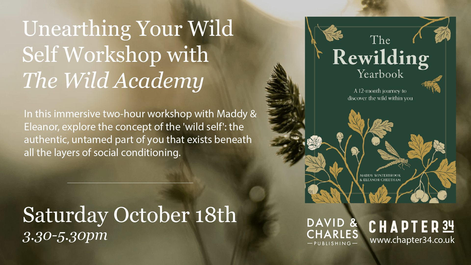 Unearthing Your Wild Self Workshop with The Wild Academy